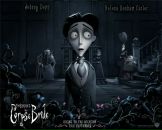 Ильдар Габбасов фотография #25 (источник - https://vk.com/id34062957)