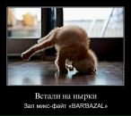 Дмитрий Маштаков фотография #32 (источник - https://vk.com/id85672543)