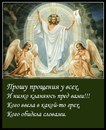 Фотография Травушкиной Наташи