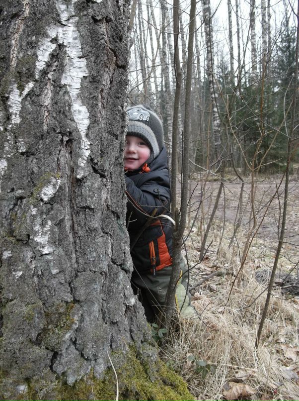 Сергей Соловьев фотография #18