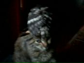 Міша Бучок фотография #11 (источник - https://vk.com/id133424316)