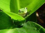 Фотография Дмитриевой Елены