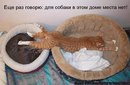 Діася Лехкун фотография #11 (источник - https://vk.com/id152562838)