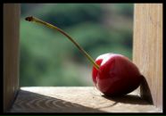 Фотография Панюхина Василия