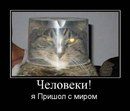 Анька Крайниківська фотография #22 (источник - https://vk.com/id167959300)