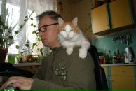 Фотография Матвеева Андрея