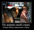 Пенсійне Забезпечення фотография #38 (источник - https://vk.com/id170342310)