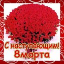 Денис Олійник фотография #4 (источник - https://vk.com/id132748787)