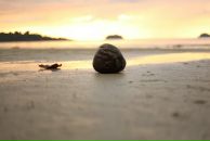 Фотография Обушенкова Максима