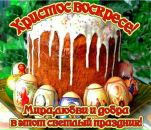 Віталік Дзьоник фотография #44 (источник - https://vk.com/id10748545)
