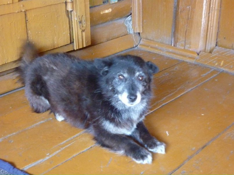 Никита Плотников фотография #7