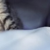 Уляночка Матвіїв фотография #2 (источник - https://vk.com/id139739885)