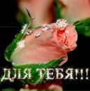 Андрій Бостан фотография #8 (источник - https://vk.com/id129537322)