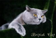 Фотография Чуровой Татьяны