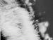 Ігор Савка фотография #18 (источник - https://vk.com/id18371976)