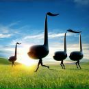 Фотография Семеновой Светланы