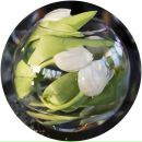 Фотография Мячиной Альфии