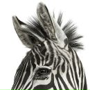 Silvana_best Коломиец фотография #1