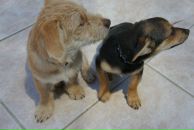 Фотография Глазуновой Галины