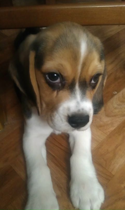 Антон Березин фотография #9