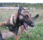 Фотография Собакиной Вари