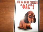 Мішаня Назар фотография #1