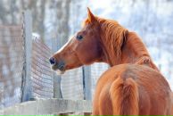 Фотография Тарасенко Ксении