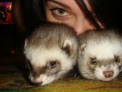 Фотография Таракановой-Плотниковой Светланы