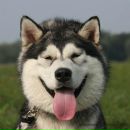 Фотография Худаковой Любови