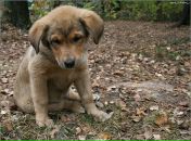 Фотография Рассохиной Марии