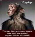 Сергій Гайдеєв фотография #9 (источник - https://vk.com/id63450867)