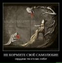 Seductive Criminal фотография #6 (источник - https://vk.com/id6020780)