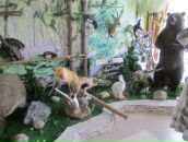 Азат Карамов фотография #21 (источник - https://vk.com/id37507276)