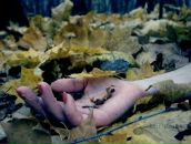 Фотография Arzina Натальи