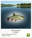 Ярослав Федьків фотография #2 (источник - https://vk.com/id94428822)