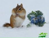 Роман Щепківський фотография #15 (источник - https://vk.com/id52619341)