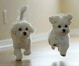 Фотография Пудова Антона