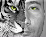 Расиль Гамидов фотография #1