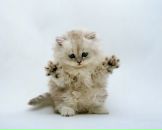 Фотография Ерминой Александры