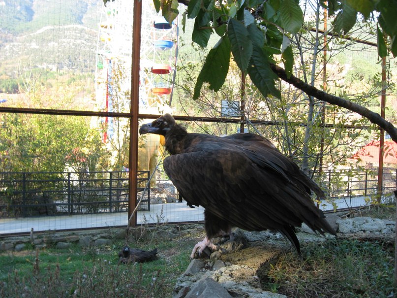 Коля Приходько фотография #17