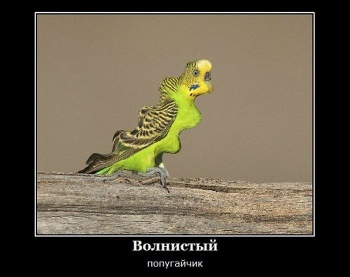 Артём Репин фотография #23