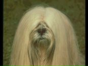 Каринка :))) фотография #46 (источник - https://vk.com/id88401957)