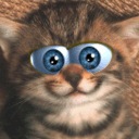 Фотография Карпенко Дмитрия