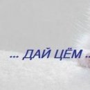 Олексій Карлов фотография #23 (источник - https://vk.com/id154805459)