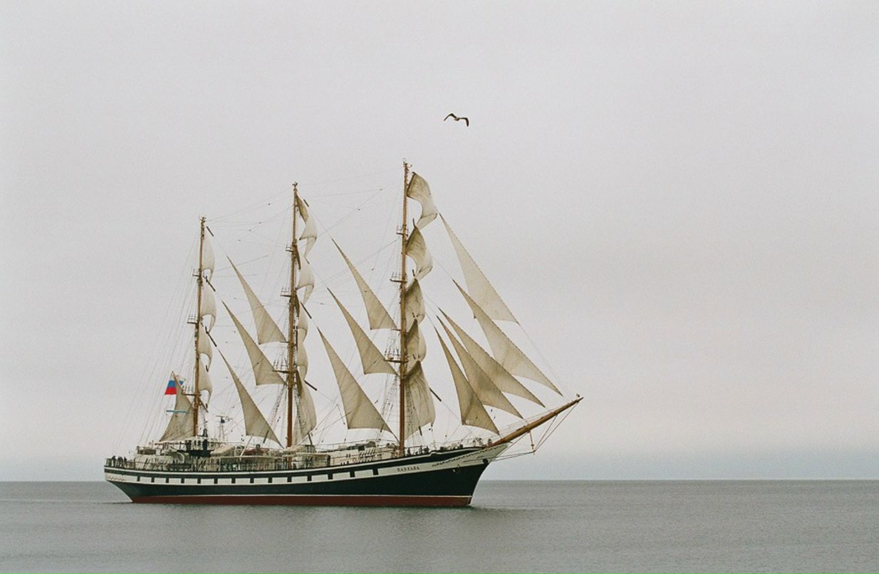 Алла Бобринева фотография #45