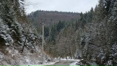 Dmitriy Galich фотография #33 (источник - https://vk.com/id2574196)