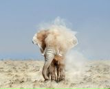 Даша Гордійчук фотография #29 (источник - https://vk.com/id80895692)