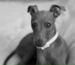 Фотография Макеевой Марины