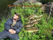 Фотография Артемьева Александра