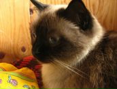 Фотография Прядильщиковой Лены